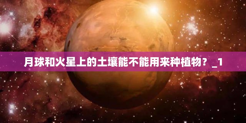 月球和火星上的土壤能不能用来种植物？_1