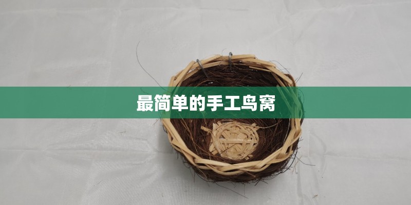 最简单的手工鸟窝