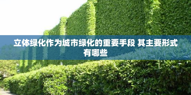 立体绿化作为城市绿化的重要手段 其主要形式有哪些