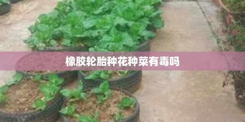 橡胶轮胎种花种菜有毒吗