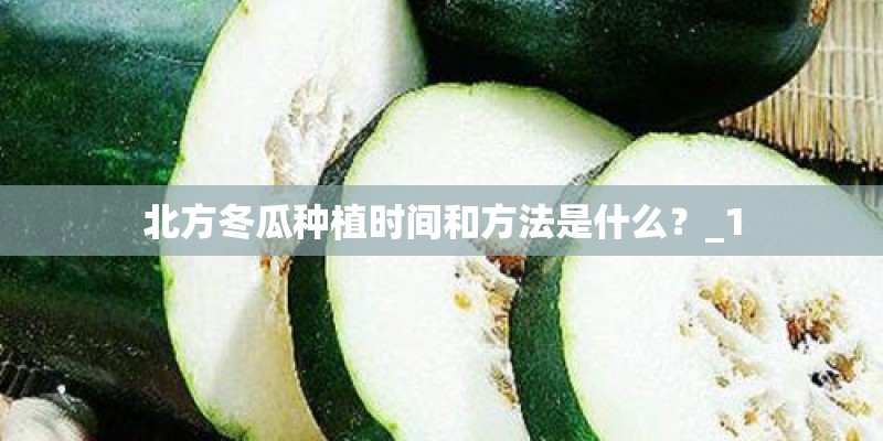 北方冬瓜种植时间和方法是什么?_1 北方冬瓜种植时间和方法是什么?_1