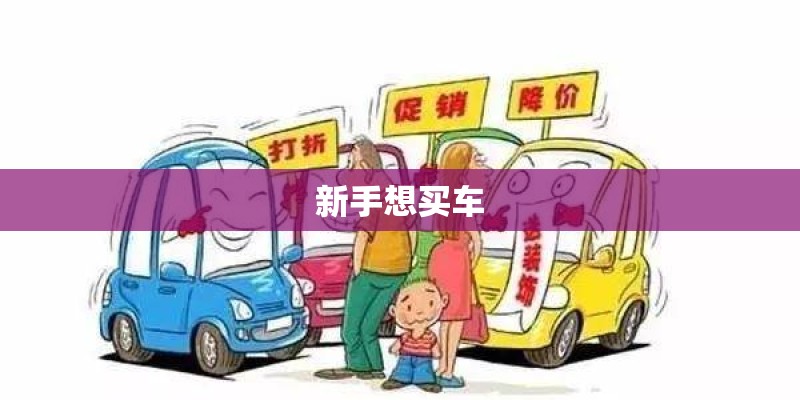 新手想买车