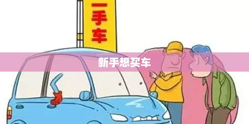 新手想买车