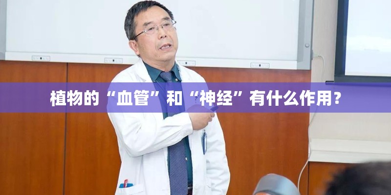 植物的“血管”和“神经”有什么作用？