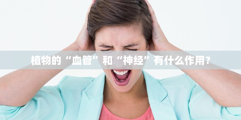 植物的“血管”和“神经”有什么作用？