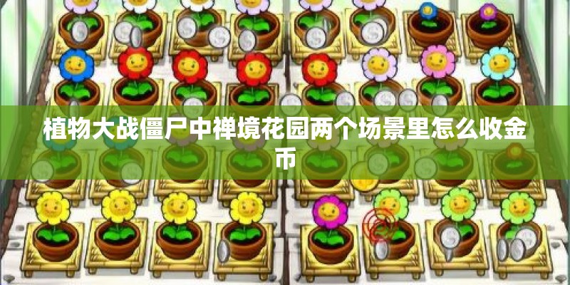 植物大战僵尸中禅境花园两个场景里怎么收金币