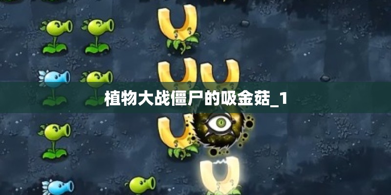 植物大战僵尸的吸金菇_1