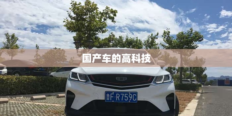 国产车的高科技