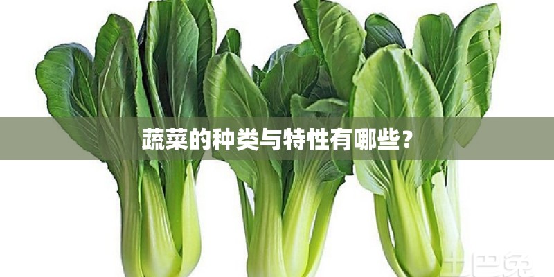 蔬菜的种类与特性有哪些? 蔬菜的种类与特性有哪些?