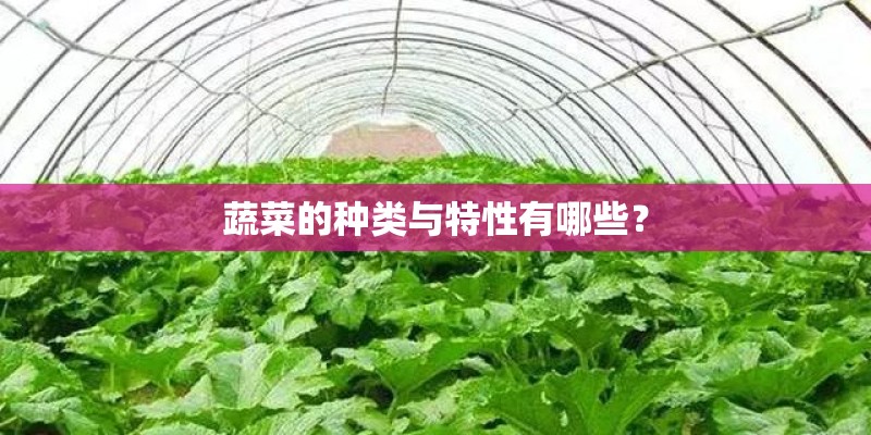 蔬菜的种类与特性有哪些? 蔬菜的种类与特性有哪些?