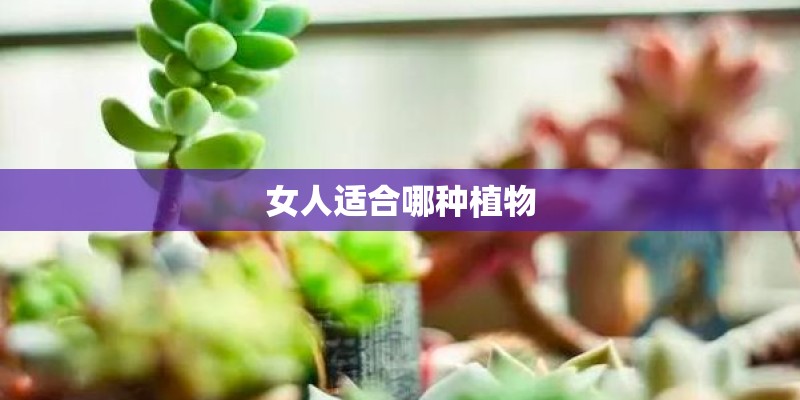 女人适合哪种植物