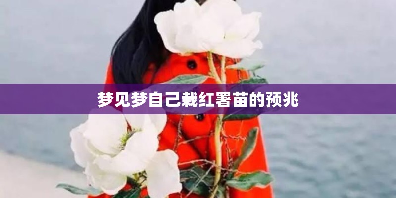 梦见梦自己栽红署苗的预兆