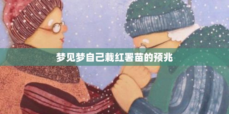 梦见梦自己栽红署苗的预兆