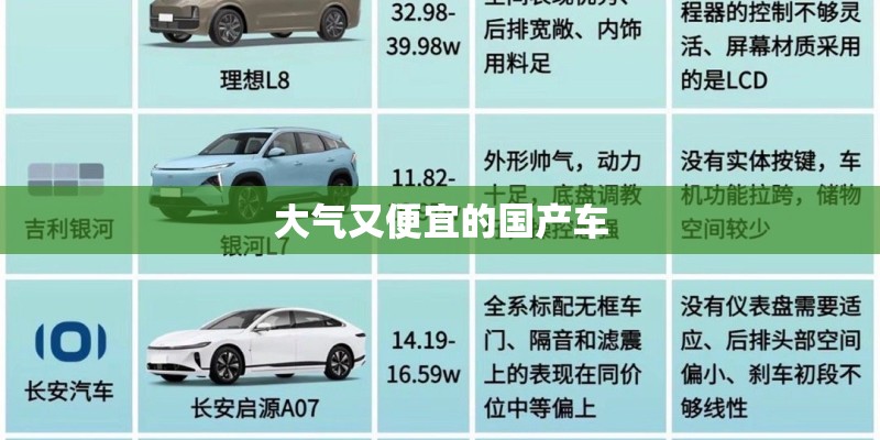 大气又便宜的国产车