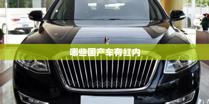 哪些国产车有红内