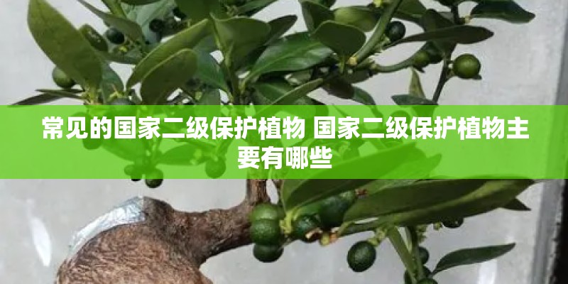 常见的国家二级保护植物 国家二级保护植物主要有哪些