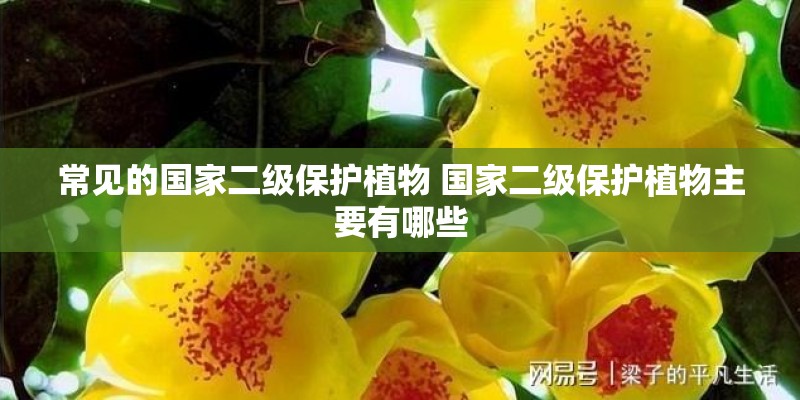 常见的国家二级保护植物 国家二级保护植物主要有哪些