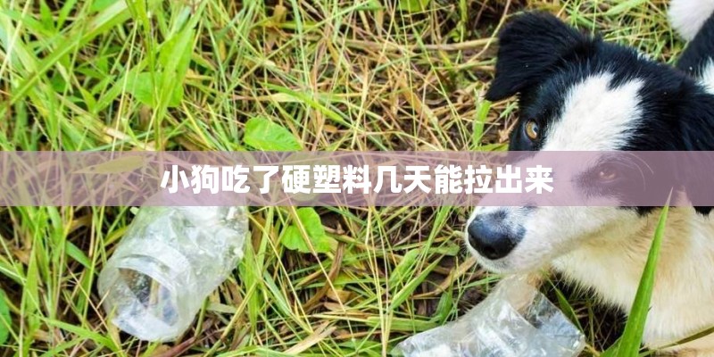小狗吃了硬塑料几天能拉出来