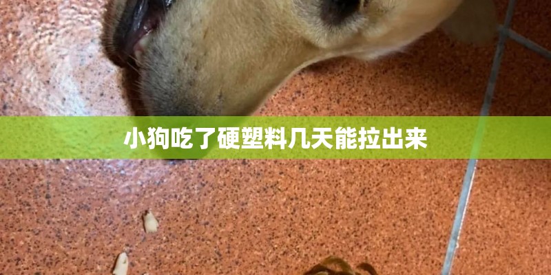 小狗吃了硬塑料几天能拉出来