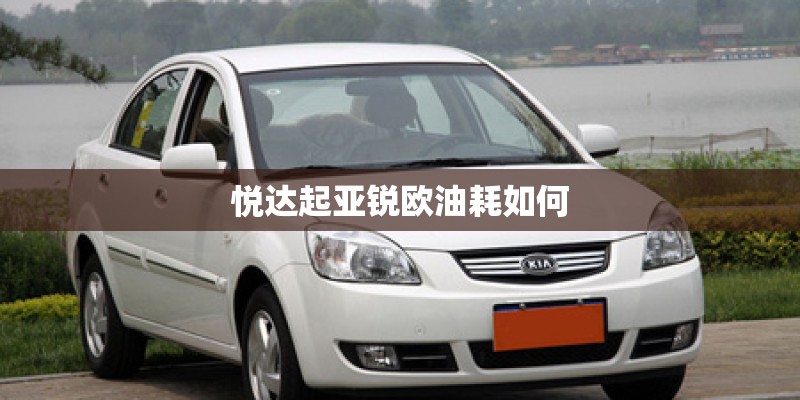 悦达起亚锐欧油耗如何