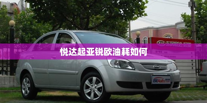 悦达起亚锐欧油耗如何