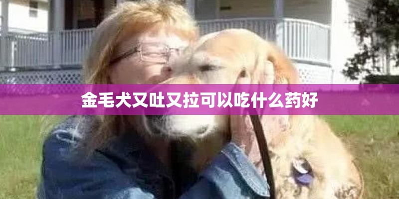 金毛犬又吐又拉可以吃什么药好 金毛犬又吐又拉可以吃什么药好