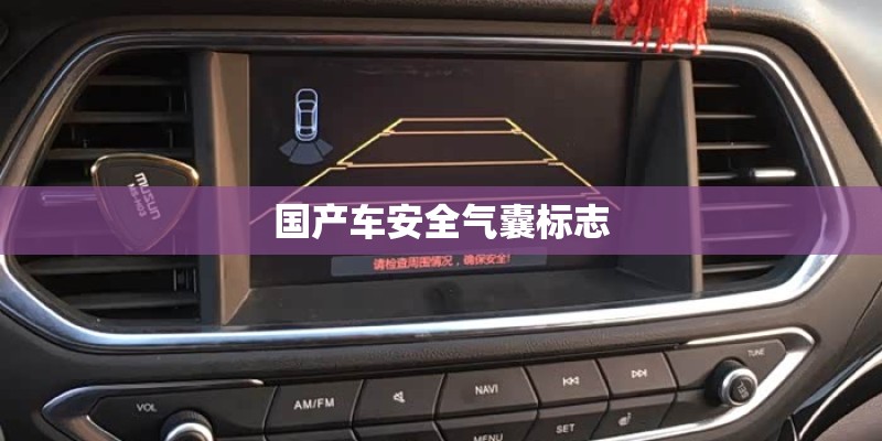 国产车安全气囊标志