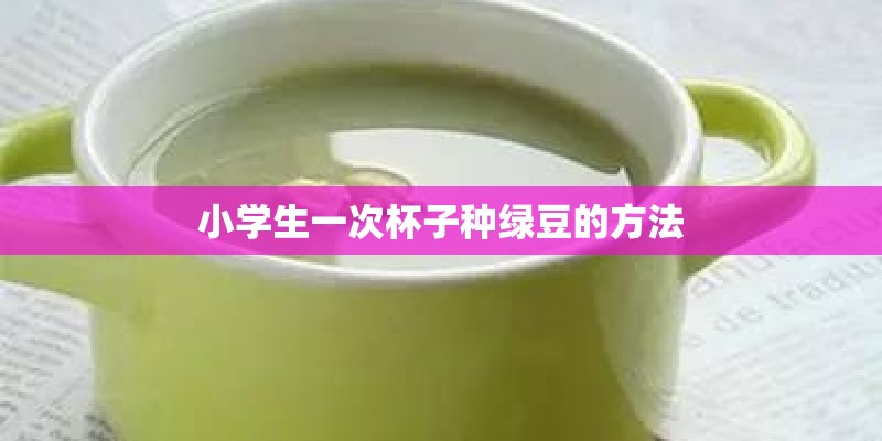 小学生一次杯子种绿豆的方法