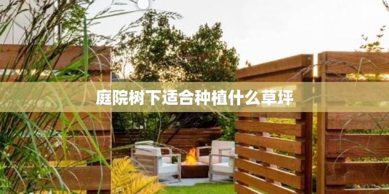 庭院树下适合种植什么草坪