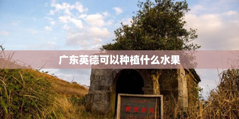 广东英德可以种植什么水果