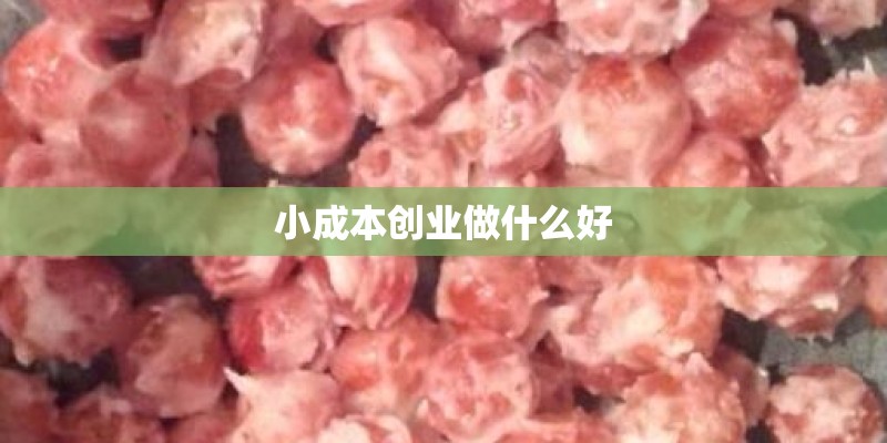 小成本创业做什么好