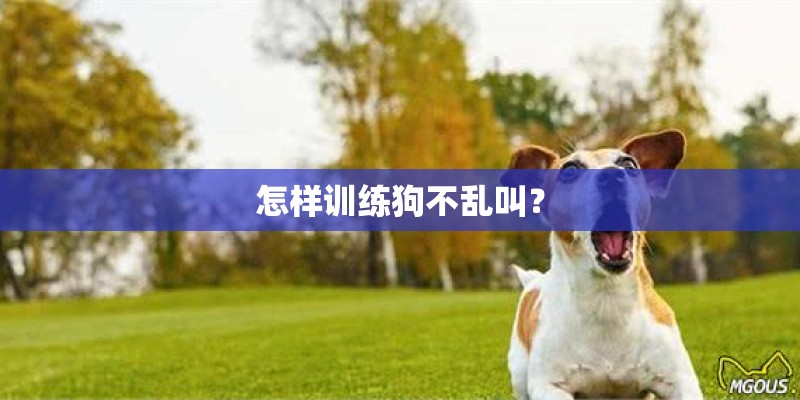 怎样训练狗不乱叫？