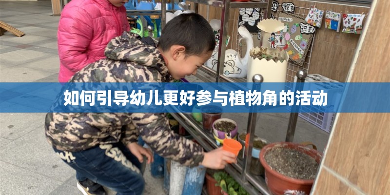 如何引导幼儿更好参与植物角的活动