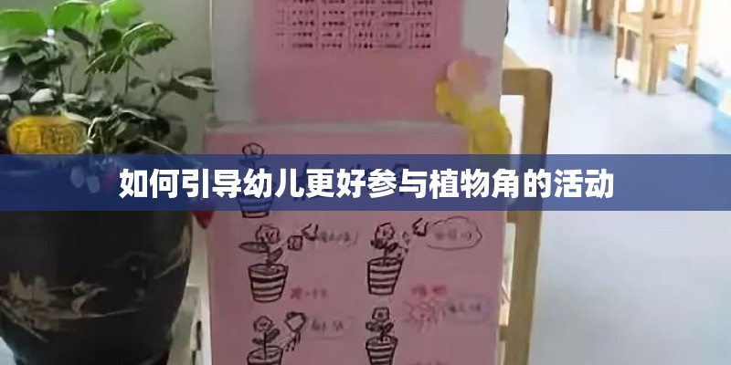 如何引导幼儿更好参与植物角的活动