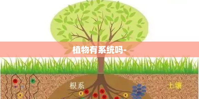 植物有系统吗-