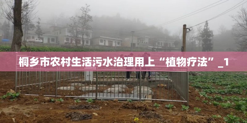 桐乡市农村生活污水治理用上“植物疗法”_1