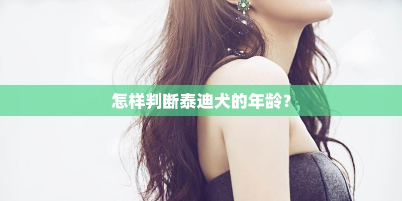 怎样判断泰迪犬的年龄？