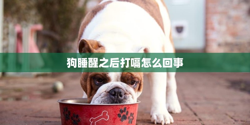 狗睡醒之后打嗝怎么回事
