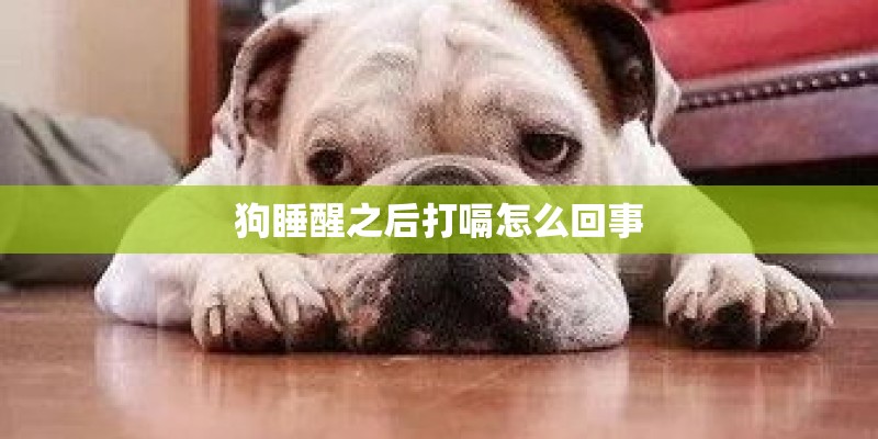 狗睡醒之后打嗝怎么回事