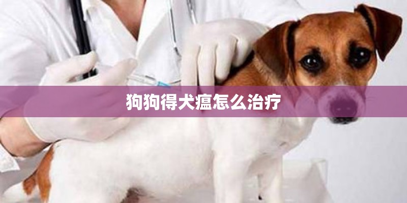 狗狗得犬瘟怎么治疗