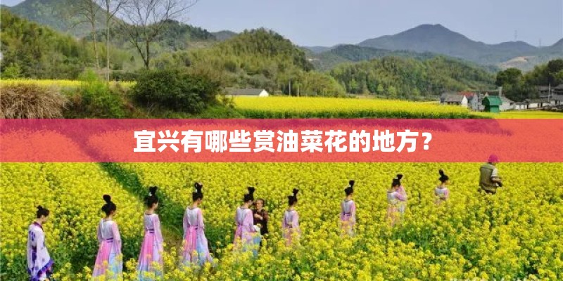 宜兴有哪些赏油菜花的地方？