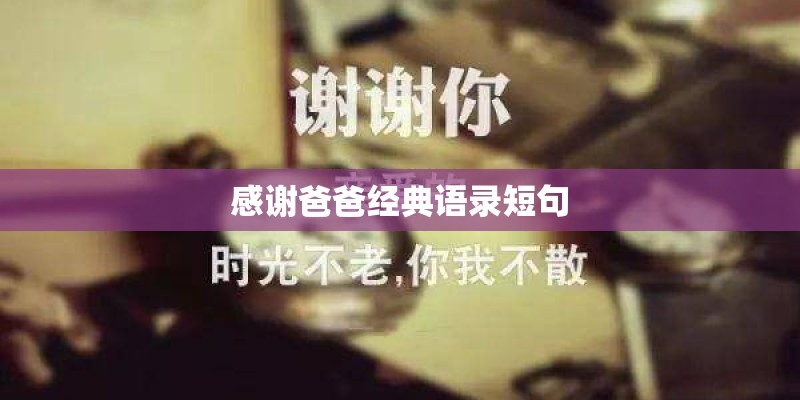 感谢爸爸经典语录短句
