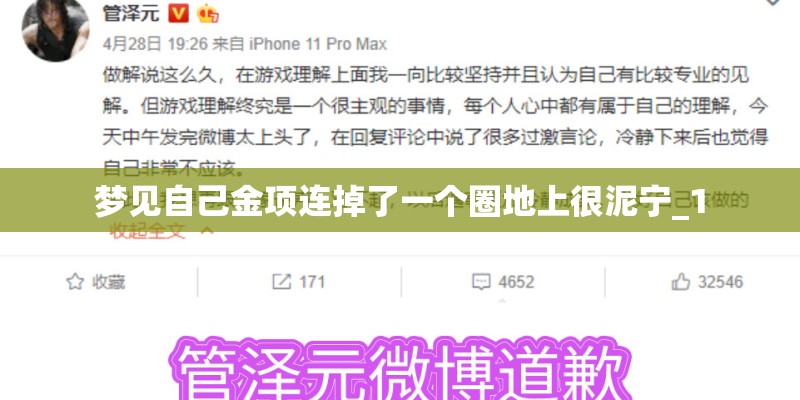 梦见自己金项连掉了一个圈地上很泥宁_1