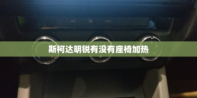 斯柯达明锐有没有座椅加热 斯柯达明锐有没有座椅加热