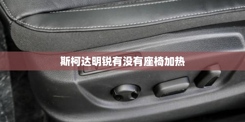 斯柯达明锐有没有座椅加热 斯柯达明锐有没有座椅加热