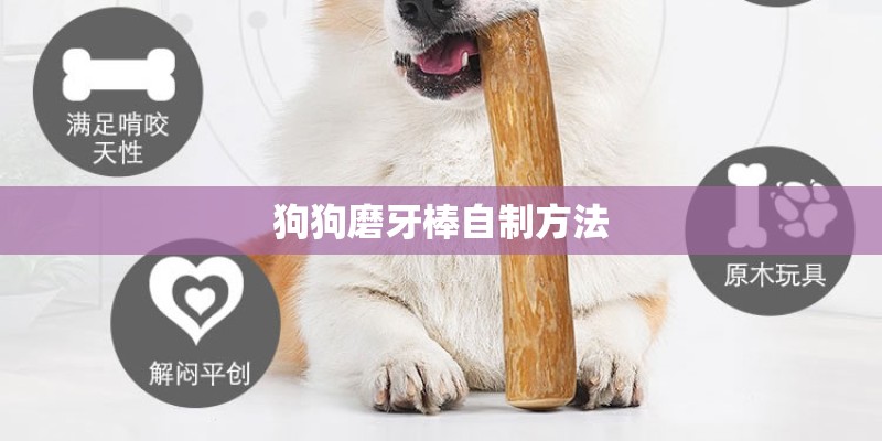 狗狗磨牙棒自制方法