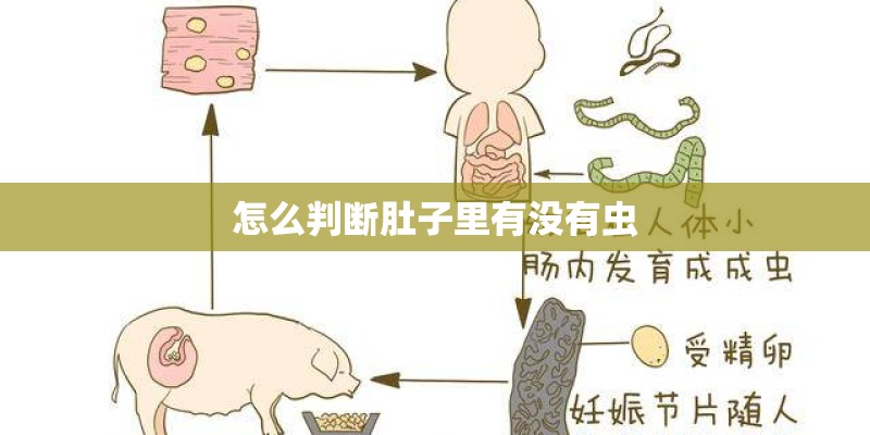 怎么判断肚子里有没有虫 怎么判断肚子里有没有虫