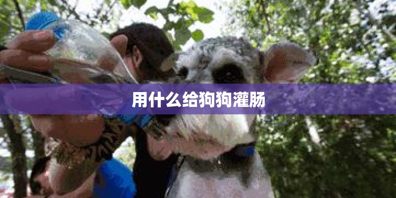 用什么给狗狗灌肠