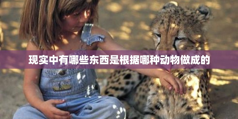 现实中有哪些东西是根据哪种动物做成的
