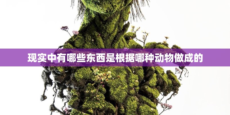 现实中有哪些东西是根据哪种动物做成的